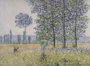 Claude Monet Fields in Spring china oil painting reproduction